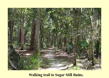 Walking trail to Sugar Mill Ruins.