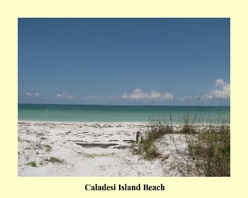 Caladesi Island Beach