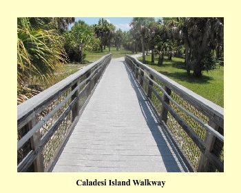 Caladesi Island Walkway