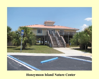 Honeymoon Island Nature Center