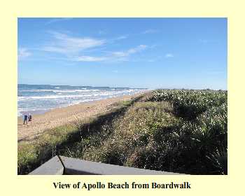 View of Apollo Beach from Boardwalk