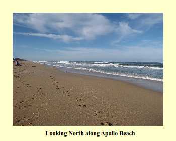 Looking North along Apollo Beach