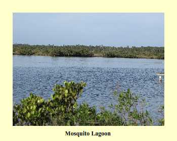 Mosquito Lagoon