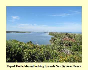 Top of Turtle Mound looking towards New Symrna Beach