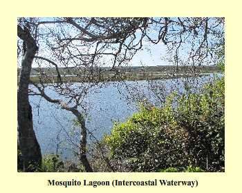 Mosquito Lagoon (Intercoastal Waterway)