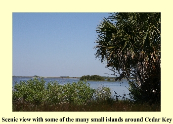 Scenic view with some of the many small islands around Cedar Key