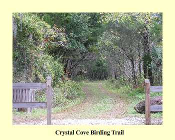 Crystal Cove Birding Trail