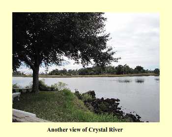 Another view of Crystal River