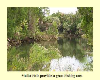 Mullet Hole provides a great Fishing area