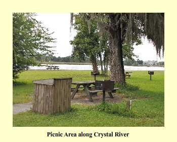 Picnic Area along Crystal River