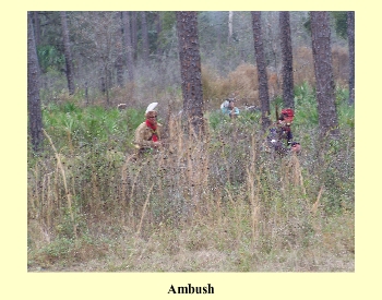 Ambush