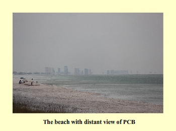 The beach with distant view of PCB