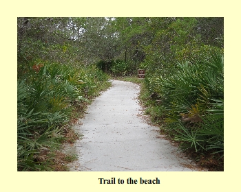 Trail to the beach