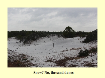 Snow? No, the sand dunes