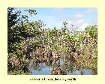 Sanders Creek, looking north