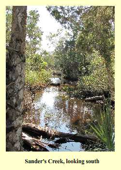 Sanders Creek, looking south