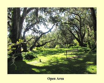 Open Area