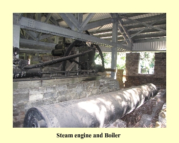 Steam engine and Boiler