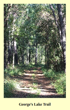 George's Lake Trail