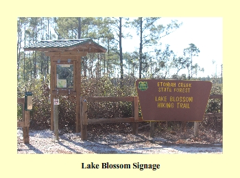 Lake Blossom Signage