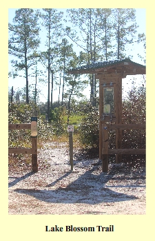 Lake Blossom Trail