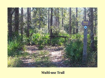 Multi-use Trail