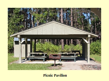 Picnic Pavilion