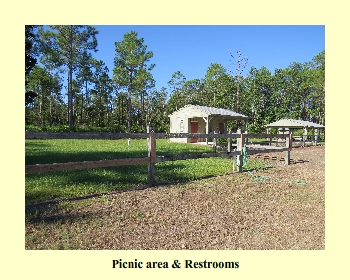 Picnic area & Restrooms