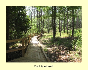 Trail to oil well