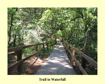 Trail to Waterfall