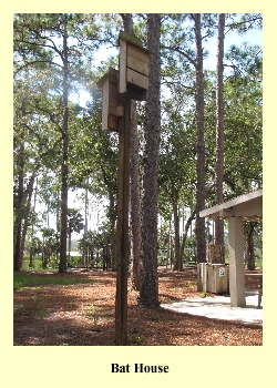 Bat House