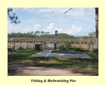 Fishing & Birdwatching Pier