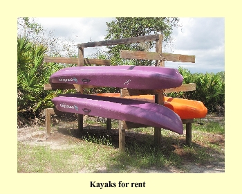 Kayaks for rent