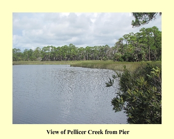 View of Pellicer Creek from Pier