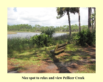 Nice spot to relax and view Pellicer Creek