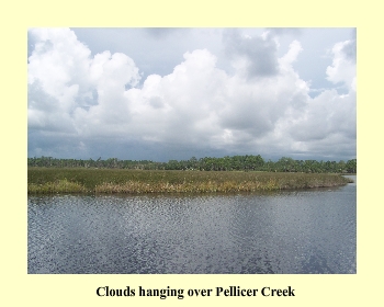 Clouds hanging over Pellicer Creek