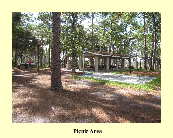 Picnic Area