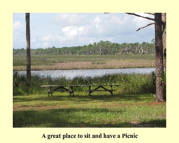 A great place to sit and have a Picnic