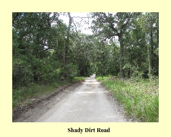 Shady Dirt Road