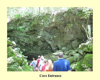 Cave Entrance