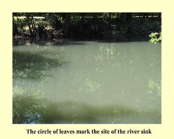 The circle of leaves mark the site of the river sink