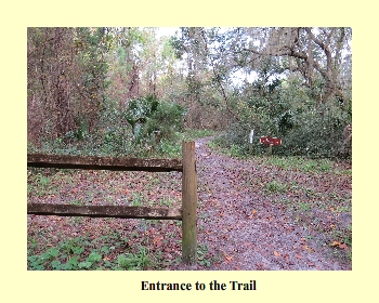 Entrance to the Trail