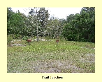 Trail Junction