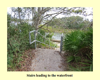 Stairs leading to the waterfront