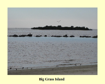 Big Grass Island