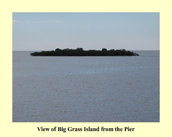 View of Big Grass Island from the Pier