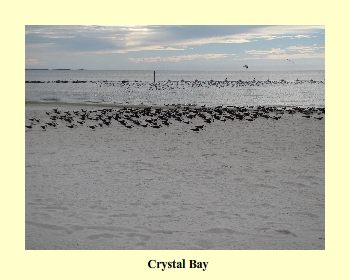 Crystal Bay