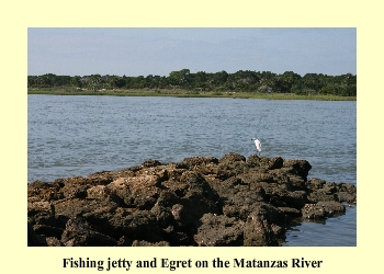 Fishing jetty and Egret on the Matanzas River