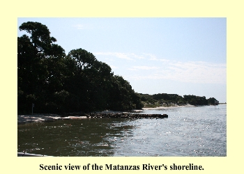 Scenic view of the Matanzas River's shoreline.