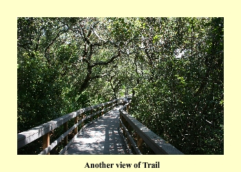 Another view of Trail